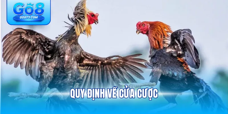 Quy định về cửa cược